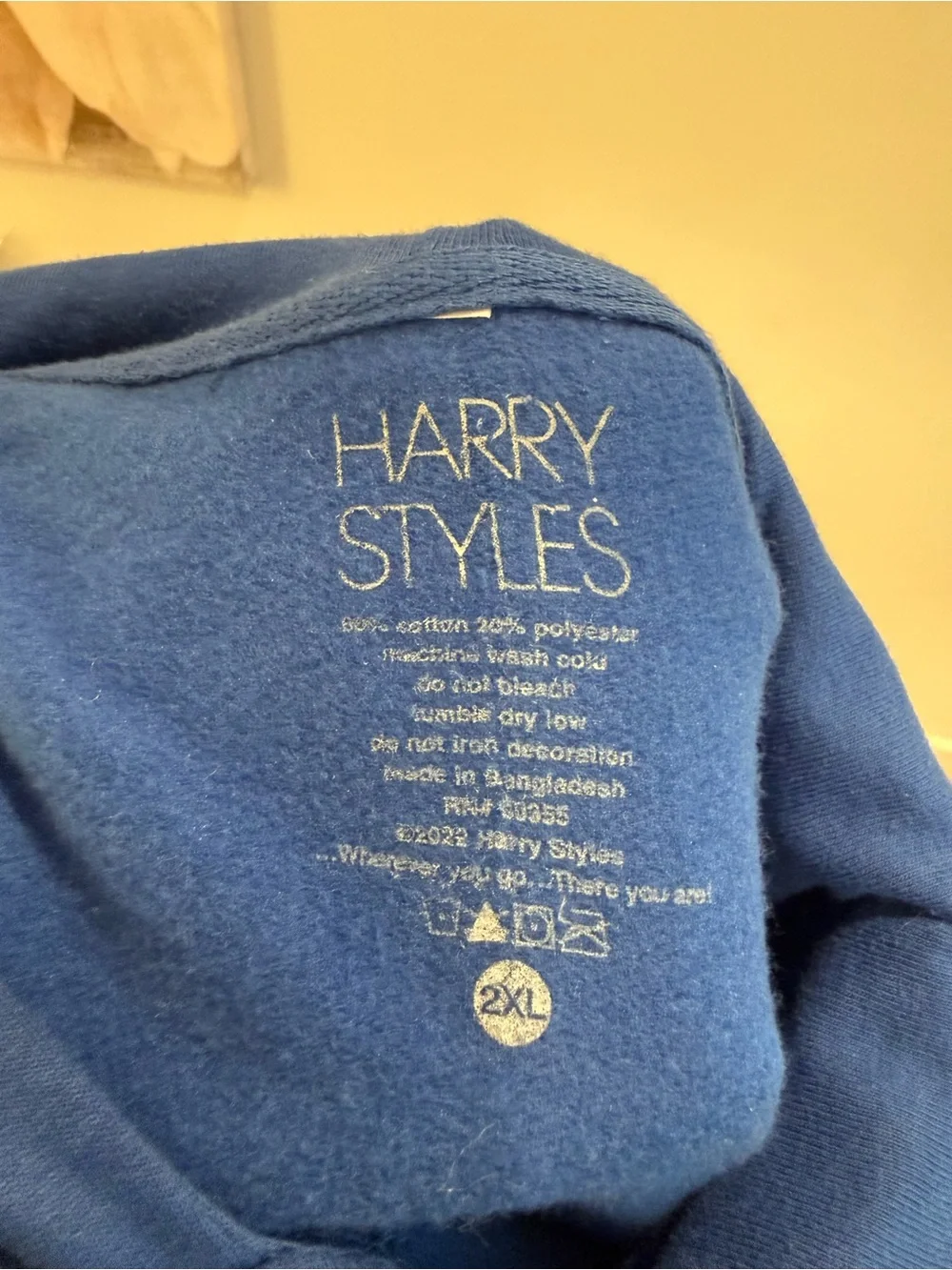 Harry styles Harry’s house blue Hooded Sweatshirt